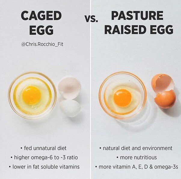 Eating one egg a day will NOT increase your diabetes risk!